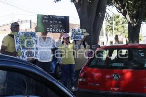 MANIFESTACIÓN CONTRA TALA DE ÁRBOLES