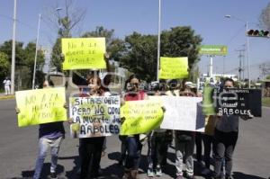 MANIFESTACIÓN CONTRA TALA DE ÁRBOLES