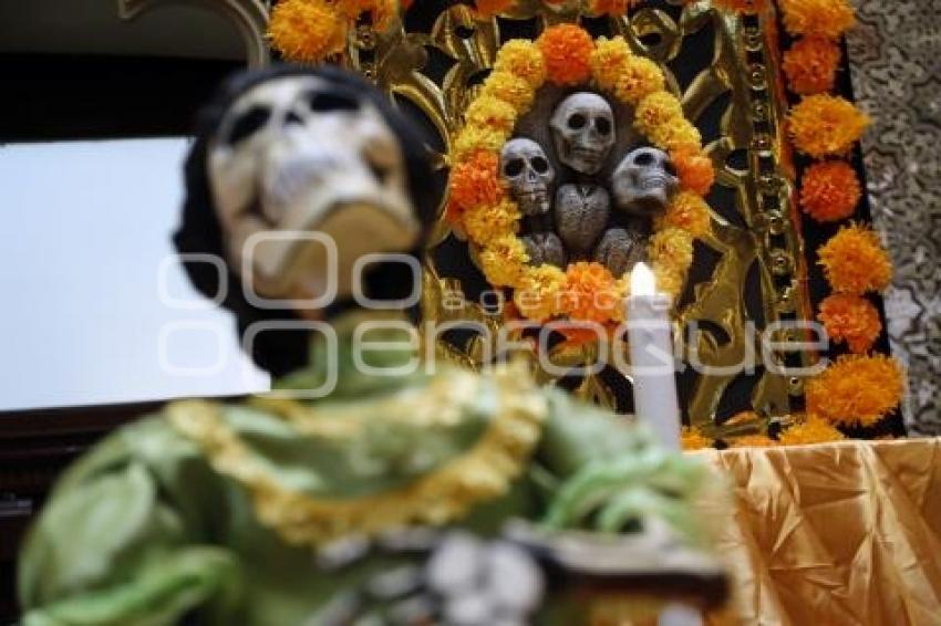 OFRENDA . CONGRESO