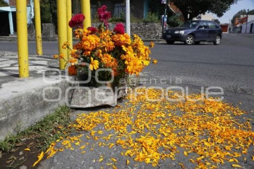 DÍA DE LOS ACCIDENTADOS