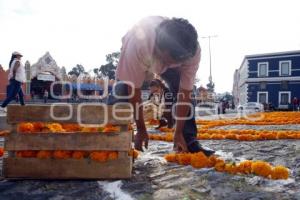 OFRENDA FEMINICIDIOS