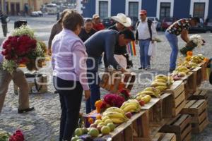 OFRENDA FEMINICIDIOS