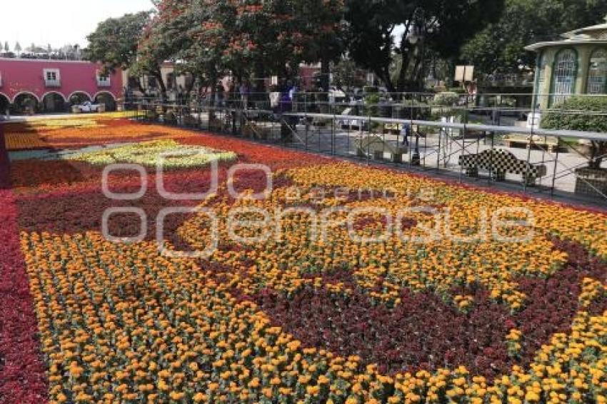 ATLIXCO. TAPETE DIA DE MUERTOS