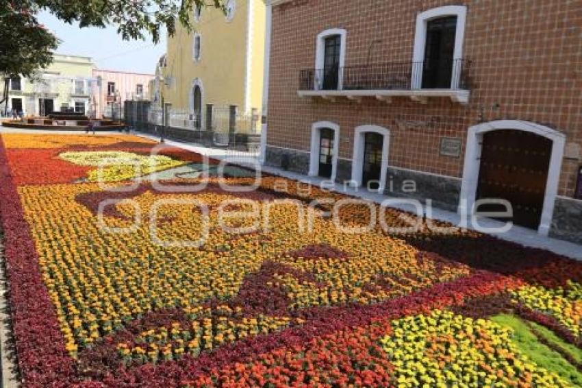 ATLIXCO. TAPETE DIA DE MUERTOS