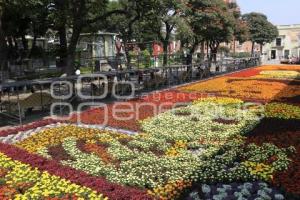 ATLIXCO. TAPETE DIA DE MUERTOS