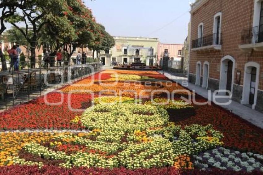 ATLIXCO. TAPETE DIA DE MUERTOS