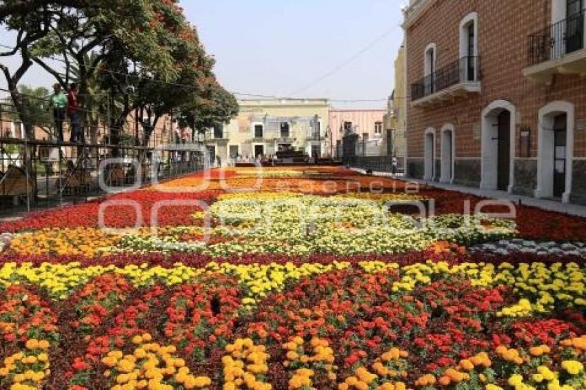 ATLIXCO. TAPETE DIA DE MUERTOS