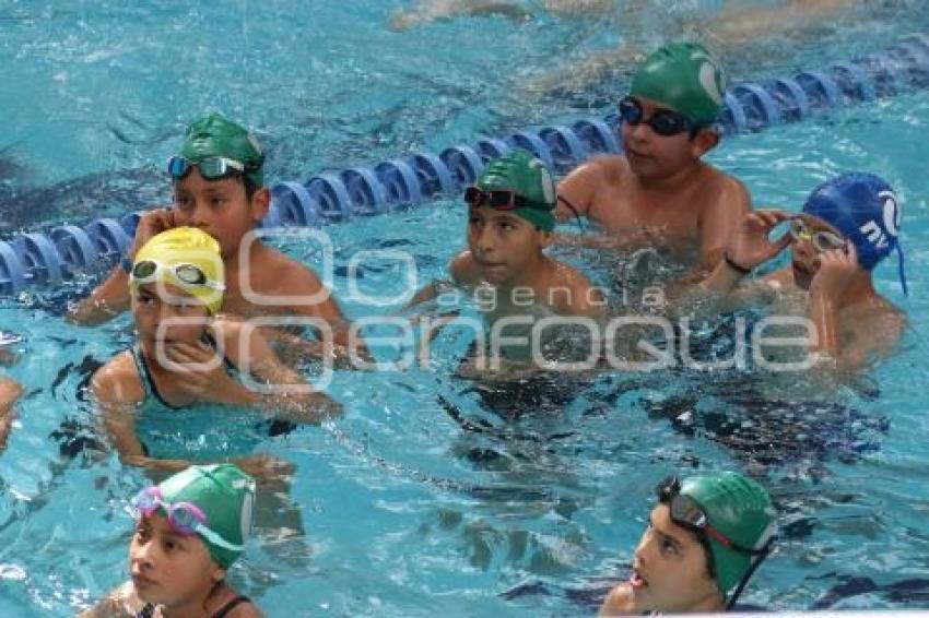 CAMPEONATO ESTATAL CORTO DE NATACIÓN