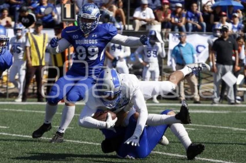 ITESM VS BORREGOS