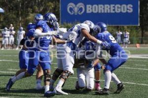 ITESM VS BORREGOS