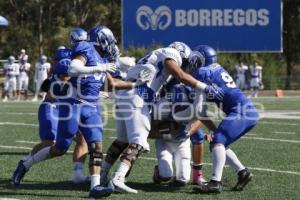 ITESM VS BORREGOS