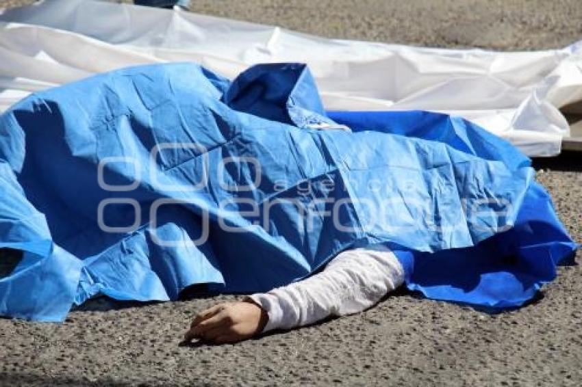 ATROPELLADA 6 PONIENTE