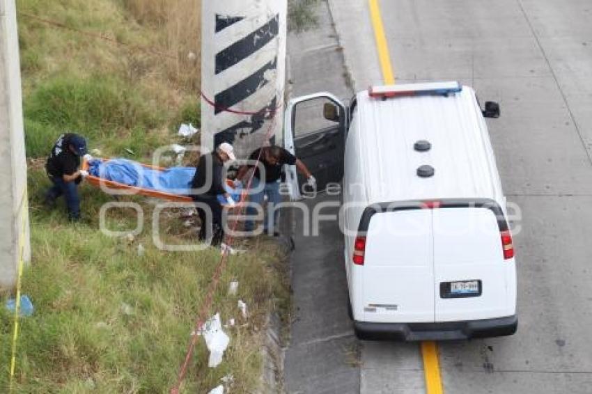 CADÁVER . AUTOPISTA . ESTADIOS