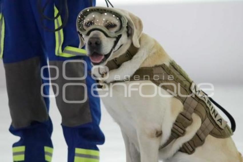 ITESM . SEMAR . FRIDA