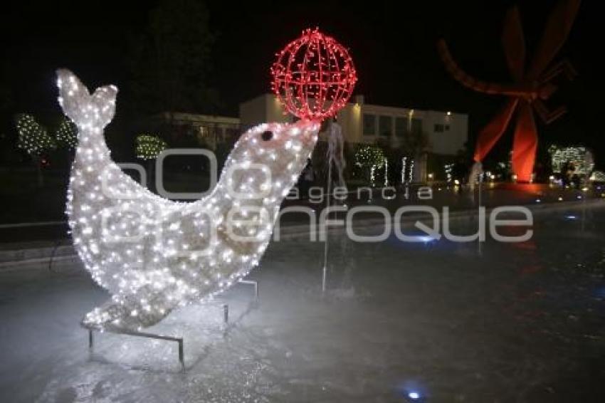 BUAP . ENCENDIDO ÁRBOL DE NAVIDAD