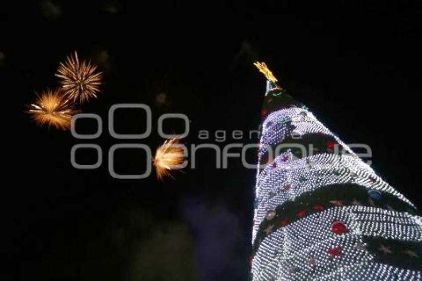 BUAP . ENCENDIDO ÁRBOL DE NAVIDAD