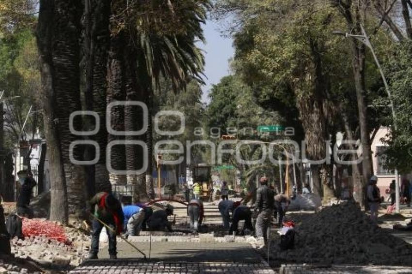 AVENIDA JUÁREZ