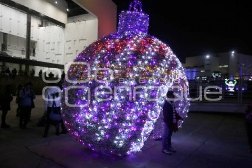 BUAP . ENCENDIDO ÁRBOL DE NAVIDAD