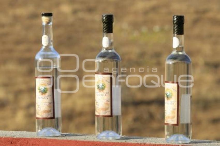 PRODUCCIÓN DE MEZCAL