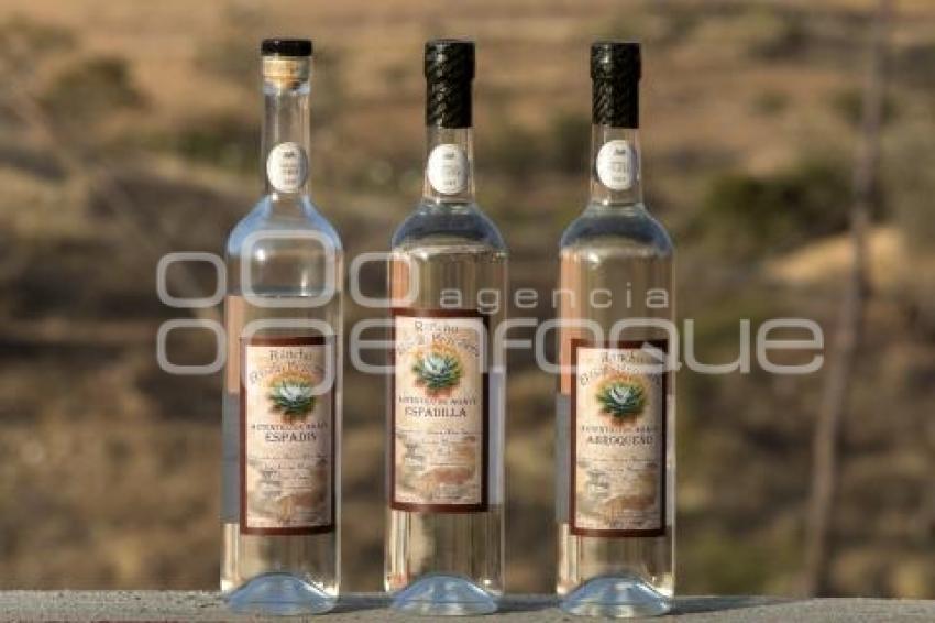 PRODUCCIÓN DE MEZCAL