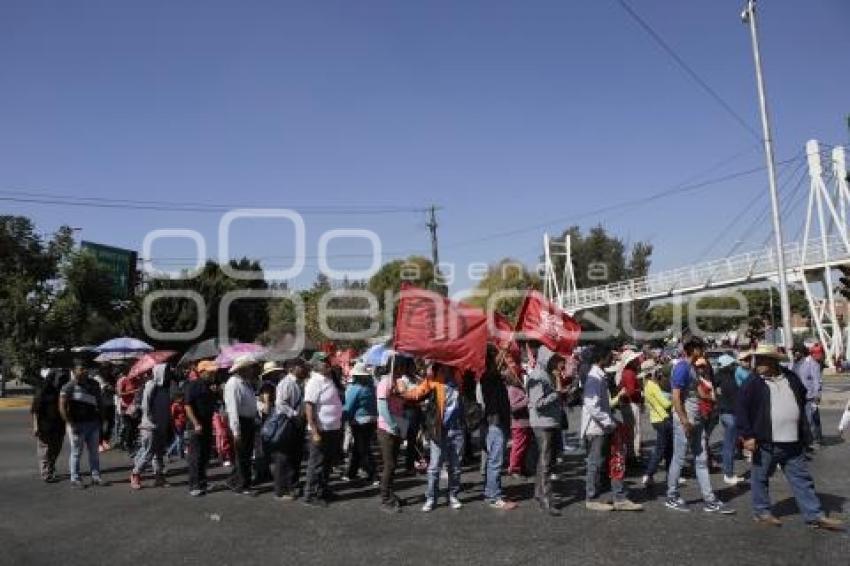 MANIFESTACION ANTORCHA CAMPESINA