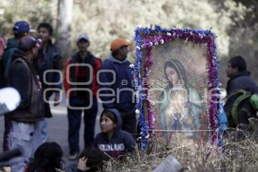 PEREGRINOS A LA BASÍLICA