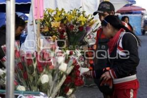 PREVIO VIRGEN DE GUADALUPE