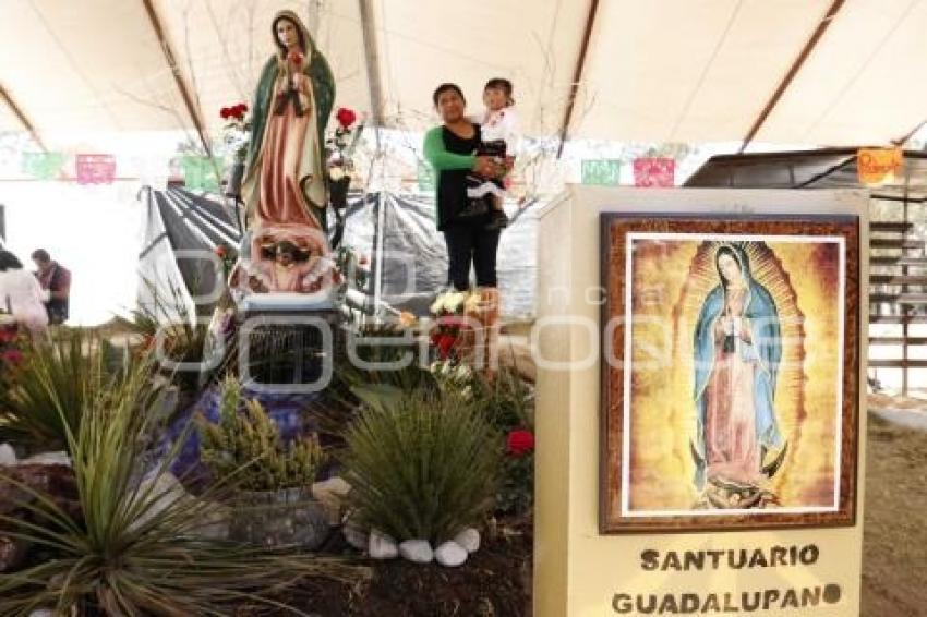 VIRGEN DE GUADALUPE . SEMINARIO