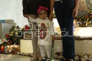VIRGEN DE GUADALUPE . SEMINARIO