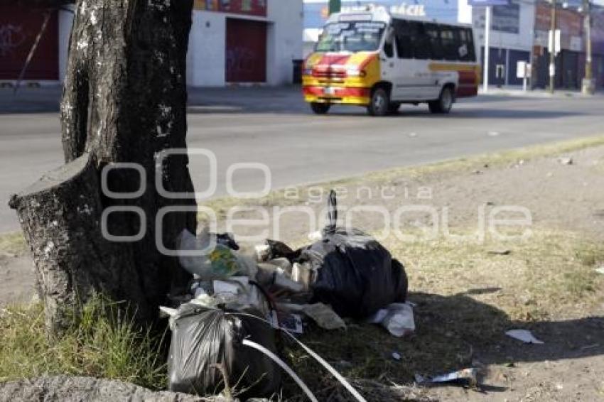 BASURA . FESTEJOS AÑO NUEVO