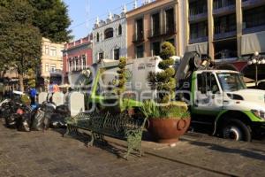 BASURA . FESTEJOS AÑO NUEVO