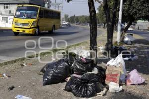 BASURA . FESTEJOS AÑO NUEVO