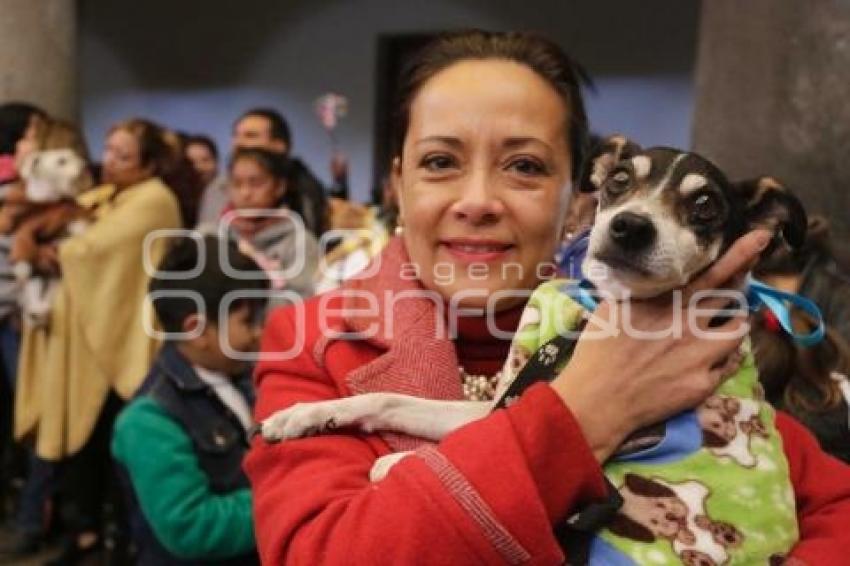 BENDICIÓN DE MASCOTAS