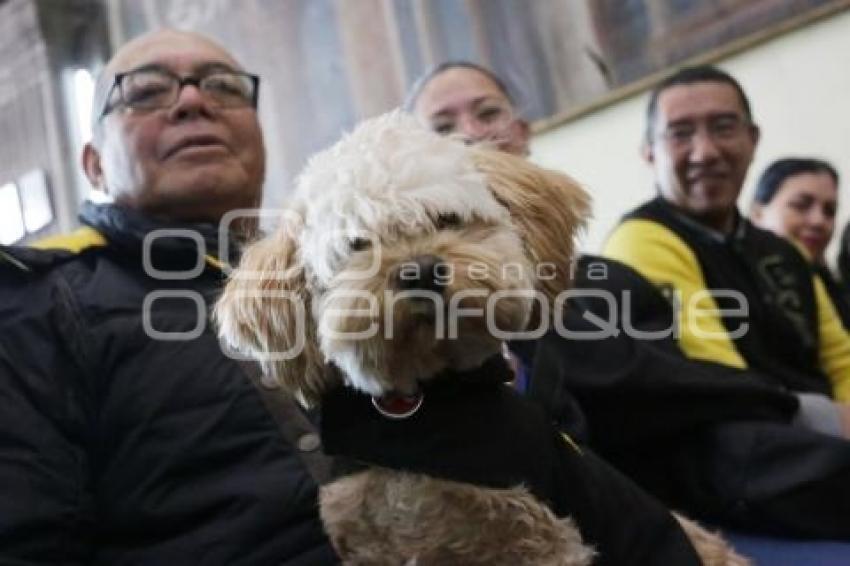 BENDICIÓN DE MASCOTAS