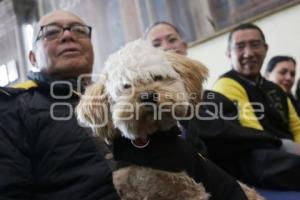 BENDICIÓN DE MASCOTAS