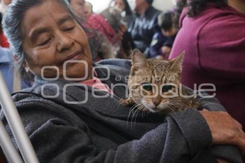 BENDICIÓN DE MASCOTAS