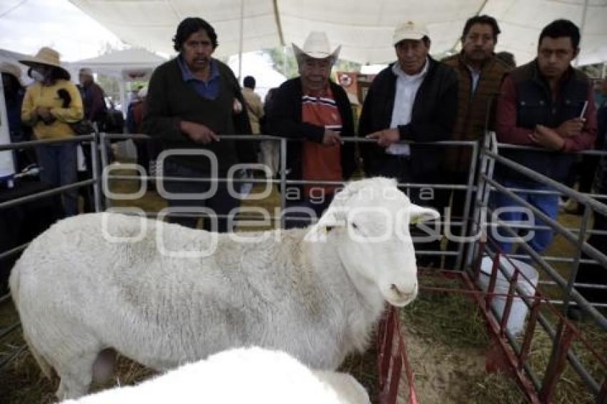 ENCUENTRO NACIONAL DE SEGURIDAD ALIMENTARIA