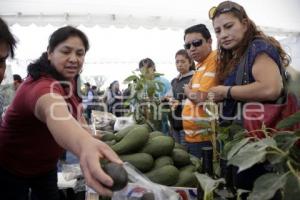 ENCUENTRO NACIONAL DE SEGURIDAD ALIMENTARIA