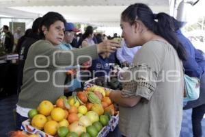 ENCUENTRO NACIONAL DE SEGURIDAD ALIMENTARIA