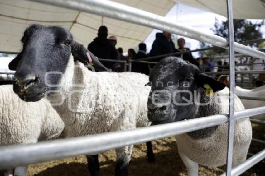 ENCUENTRO NACIONAL DE SEGURIDAD ALIMENTARIA