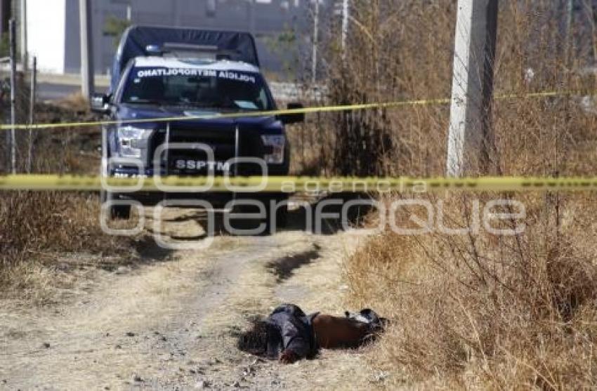 EJECUTADOS AUTOPISTA PUEBLA-ORIZABA