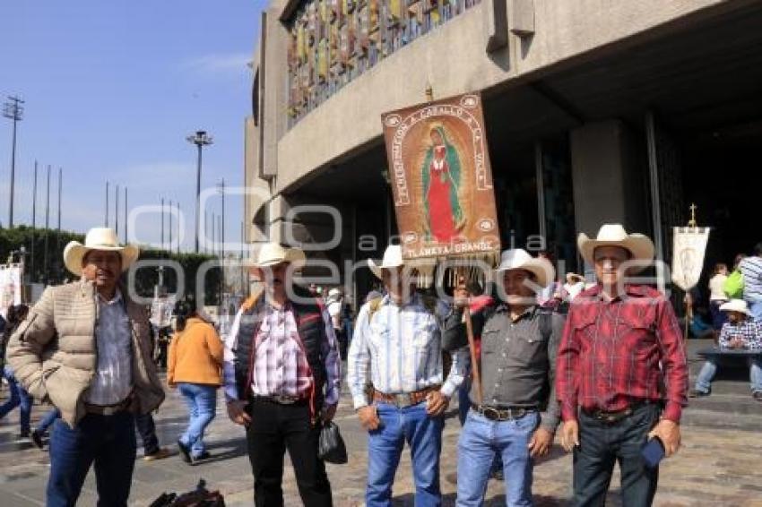 PEREGRINACIÓN BASÍLICA DE GUADALUPE