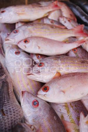 CUARESMA . PESCADOS Y MARISCOS