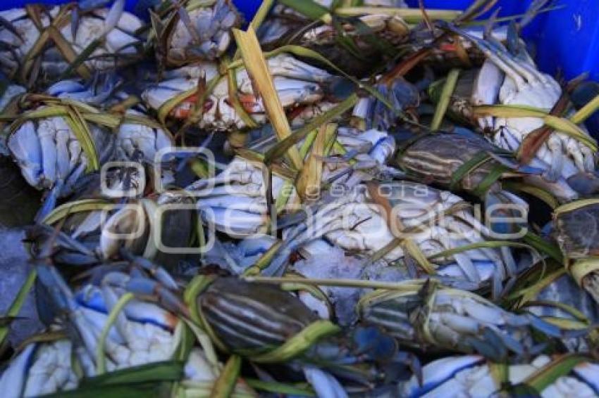 CUARESMA . PESCADOS Y MARISCOS