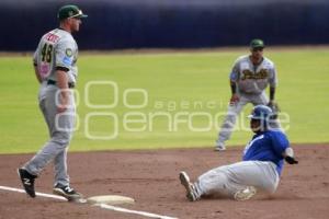 BÉISBOL . PRETEMPORADA PERICOS