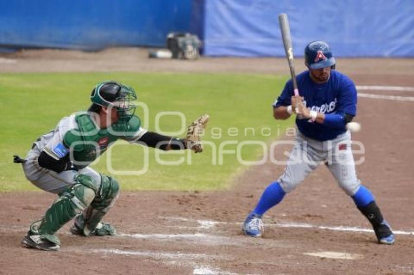 BÉISBOL . PRETEMPORADA PERICOS