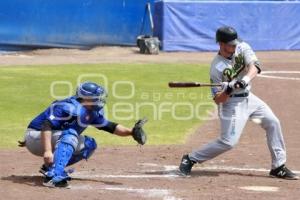 BÉISBOL . PRETEMPORADA PERICOS