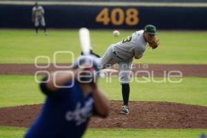 BÉISBOL . PRETEMPORADA PERICOS