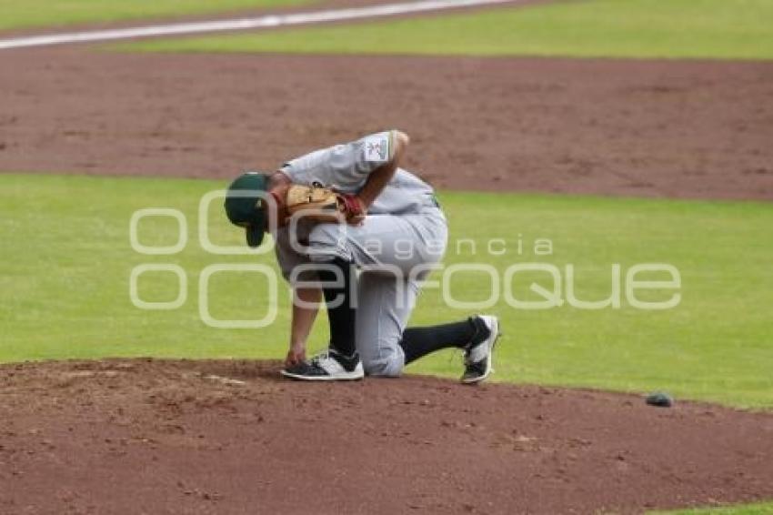 BÉISBOL . PRETEMPORADA PERICOS