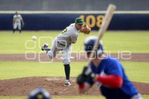 BÉISBOL . PRETEMPORADA PERICOS